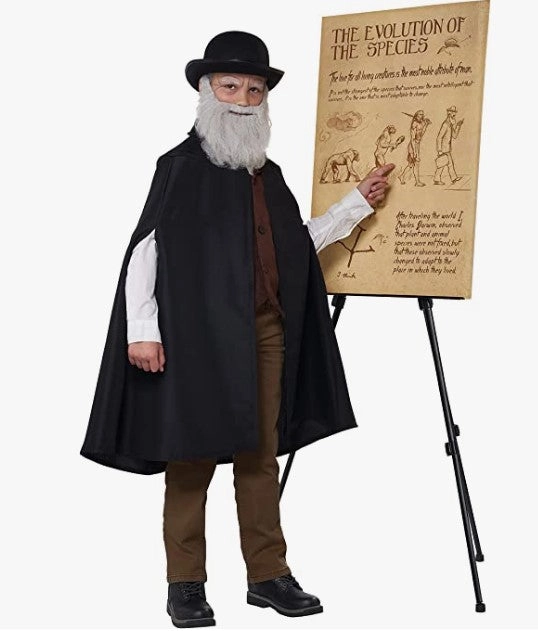 arlenescostumes156476