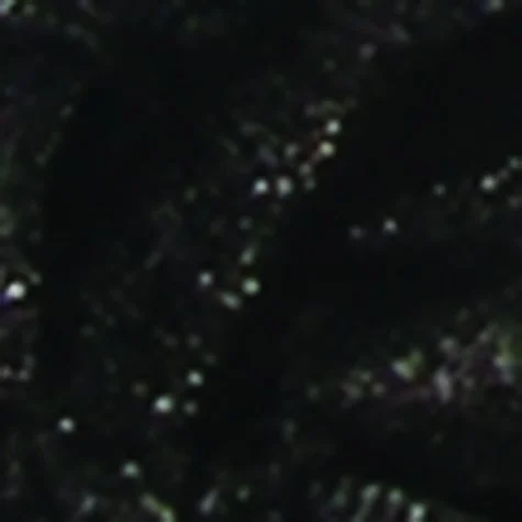 christmascentral3067961