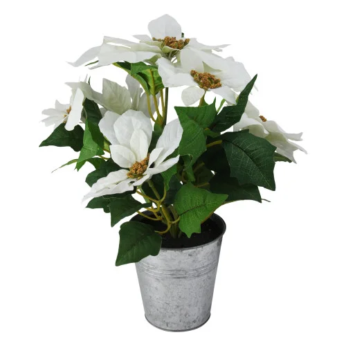 christmascentral3370525