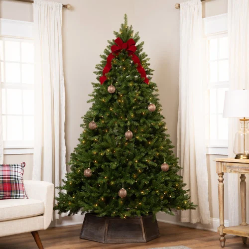 christmascentral3463800