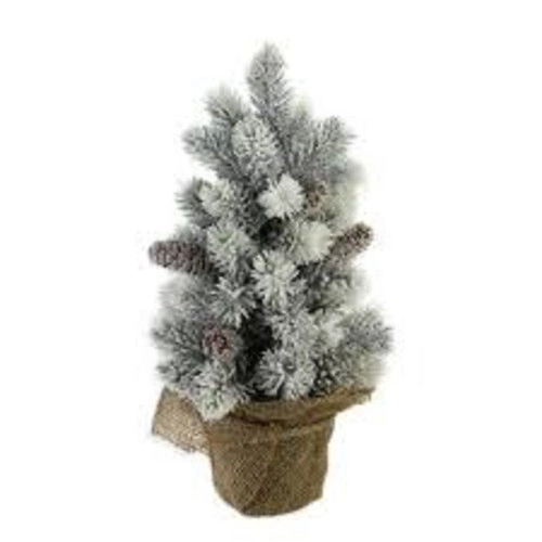 christmascentral37332