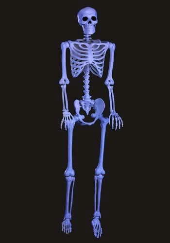 halloweencostumes3042940