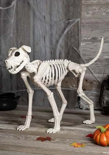 halloweencostumes3284691
