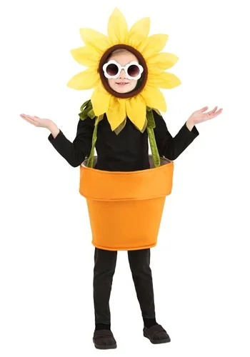 halloweencostumes3427601