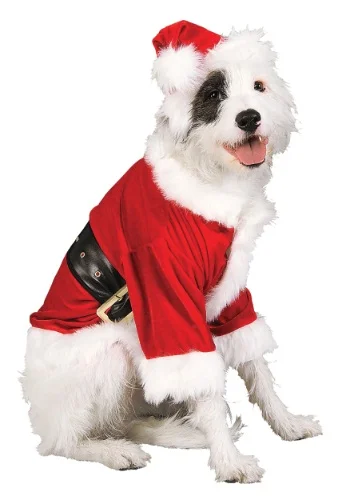 halloweencostumes3968928