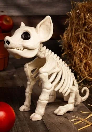 halloweencostumes3972402