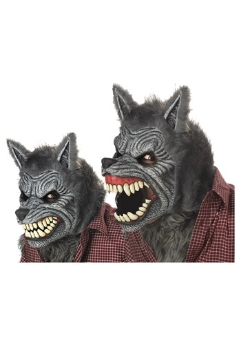 halloweencostumes4051241
