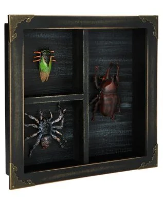 spirithalloween3022120