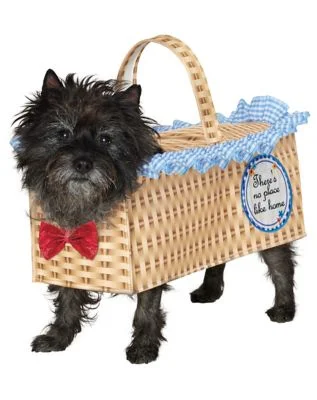spirithalloween3031189
