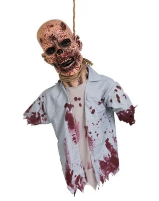spirithalloween3035475