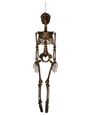 spirithalloween3036188